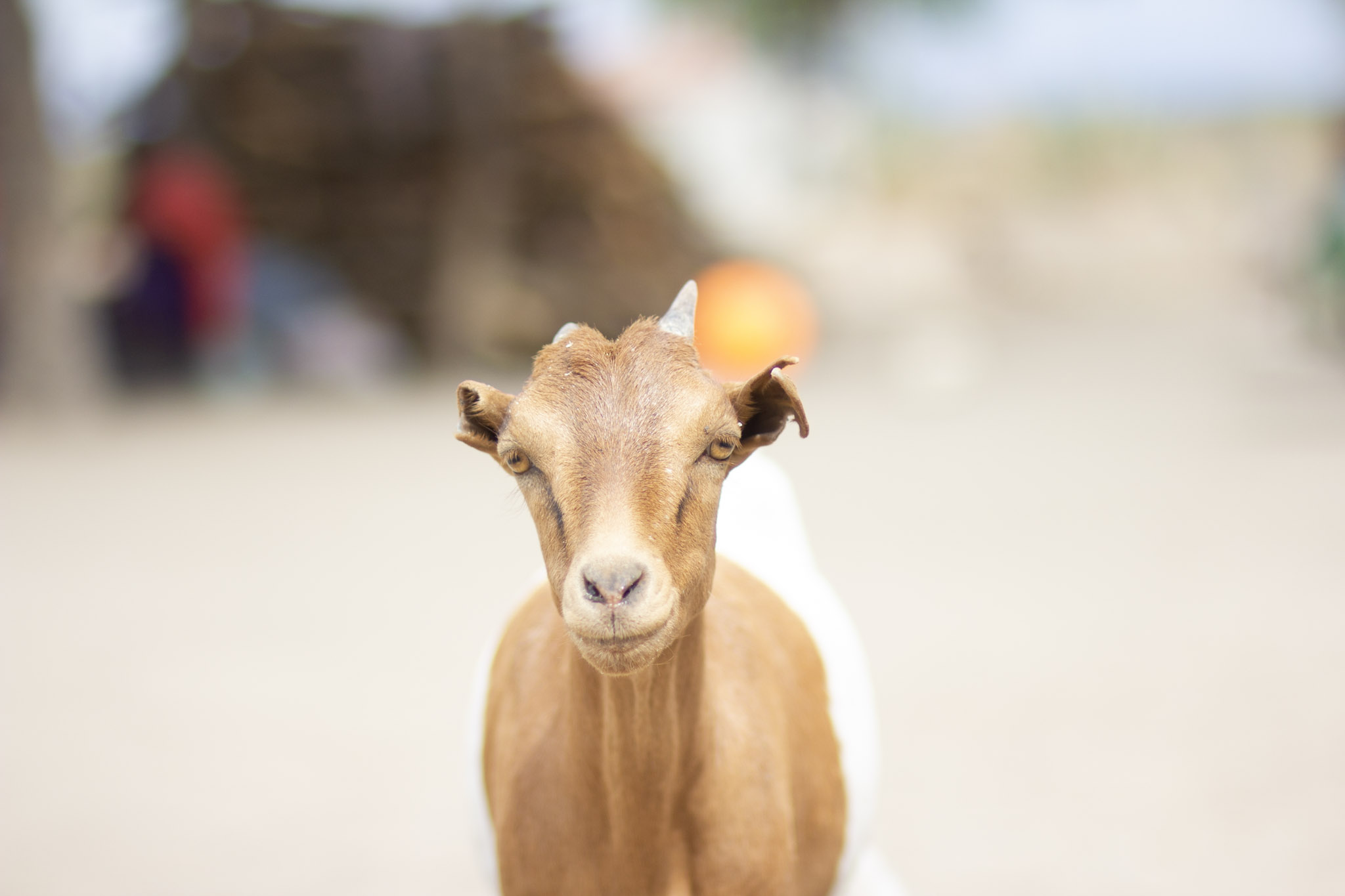 Photography from Africa